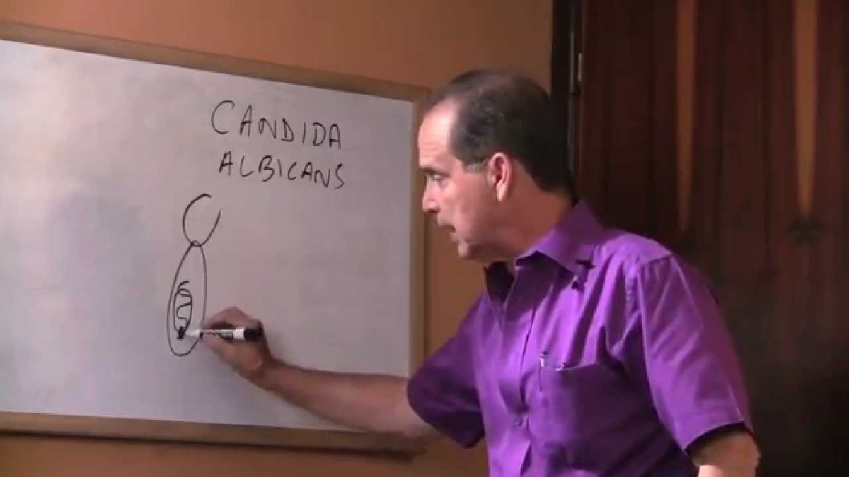 Episodio #721 ¿Cómo curar el hongo cándida efectivamente?