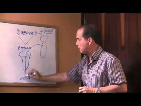 Episodio #532 Madre diabética, bebé diabético.